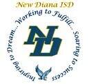 New Diana ISD